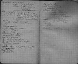 Ελμίνα Παντελάκη: Σημειώσεις από το ταξίδι στις Ηνωμένες Πολιτείες τον Φεβρουάριο-Μαϊο του 1953 47